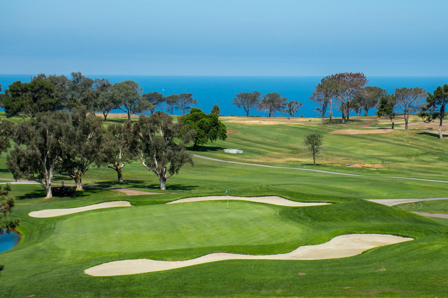 Panoramic view of a smooth green on the course surrounded by sand bunkers