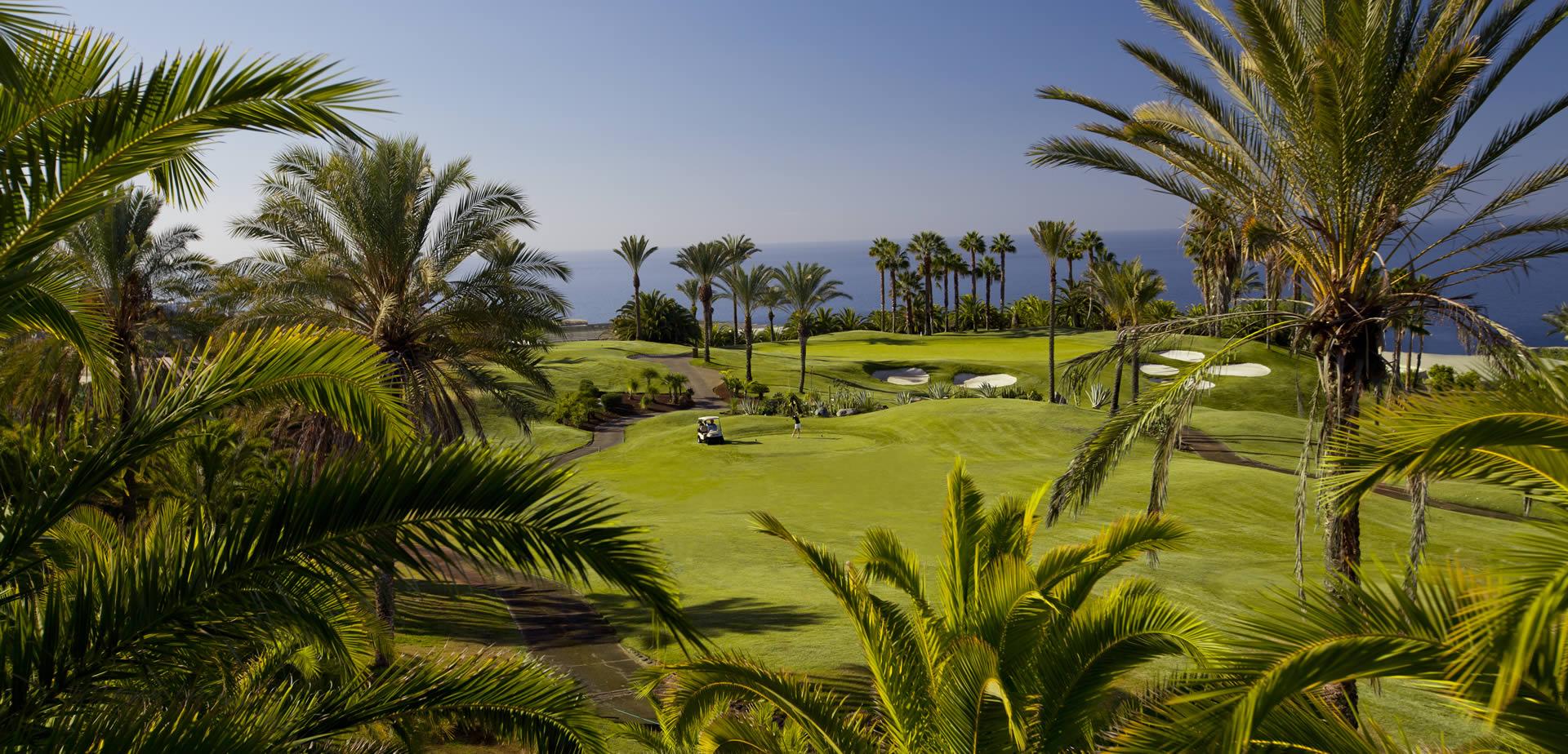 Winding fairways surrounded by palm trees