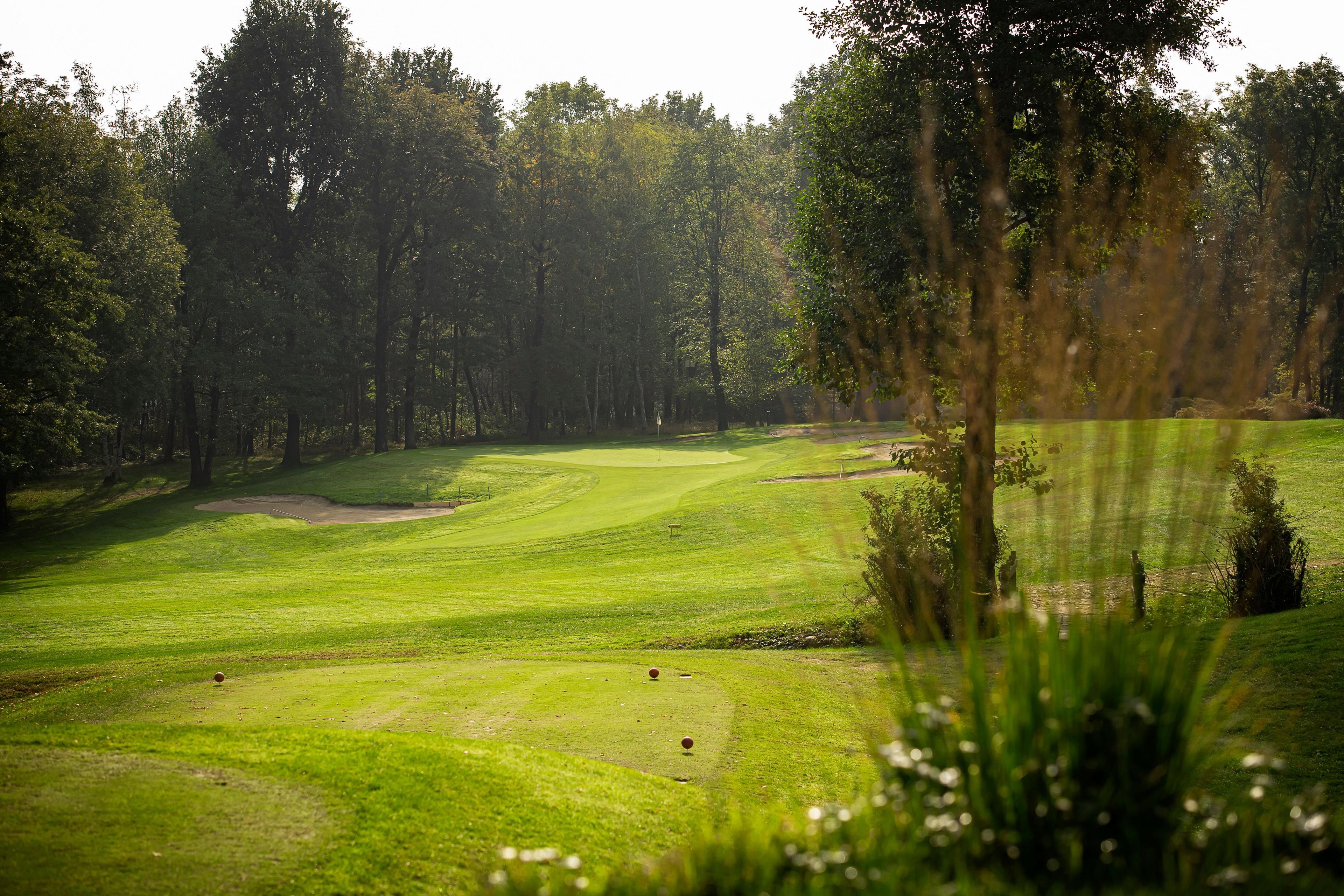 A green surrounded by trees, with a bunker to the left.