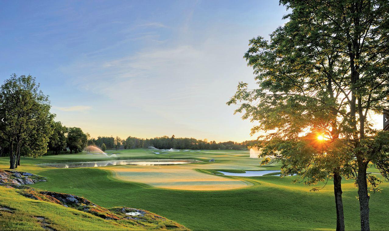 Sun shining through a tree onto a manicured green on the course
