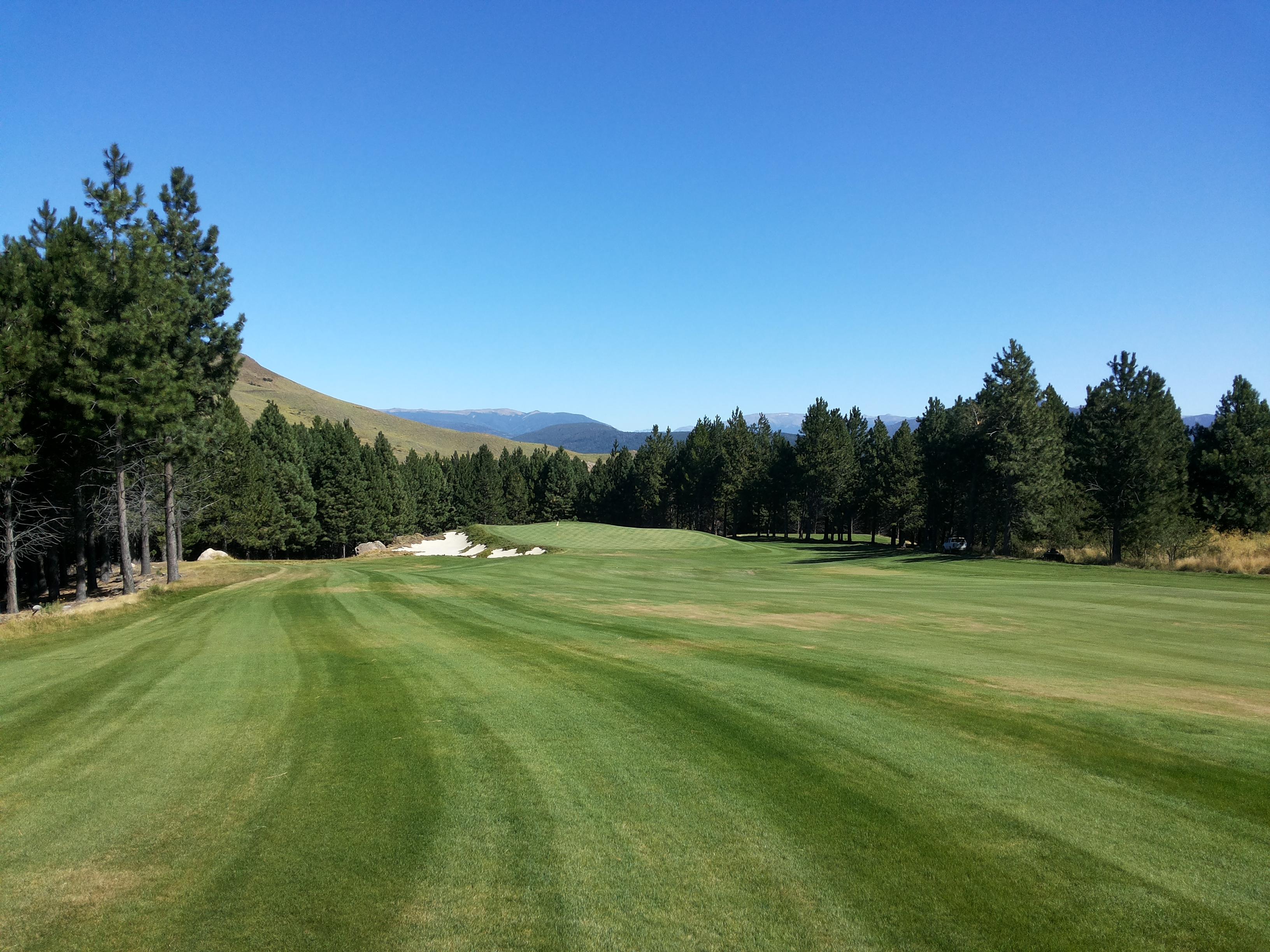 A wide fairway lined with pine trees under a bright blue sky.