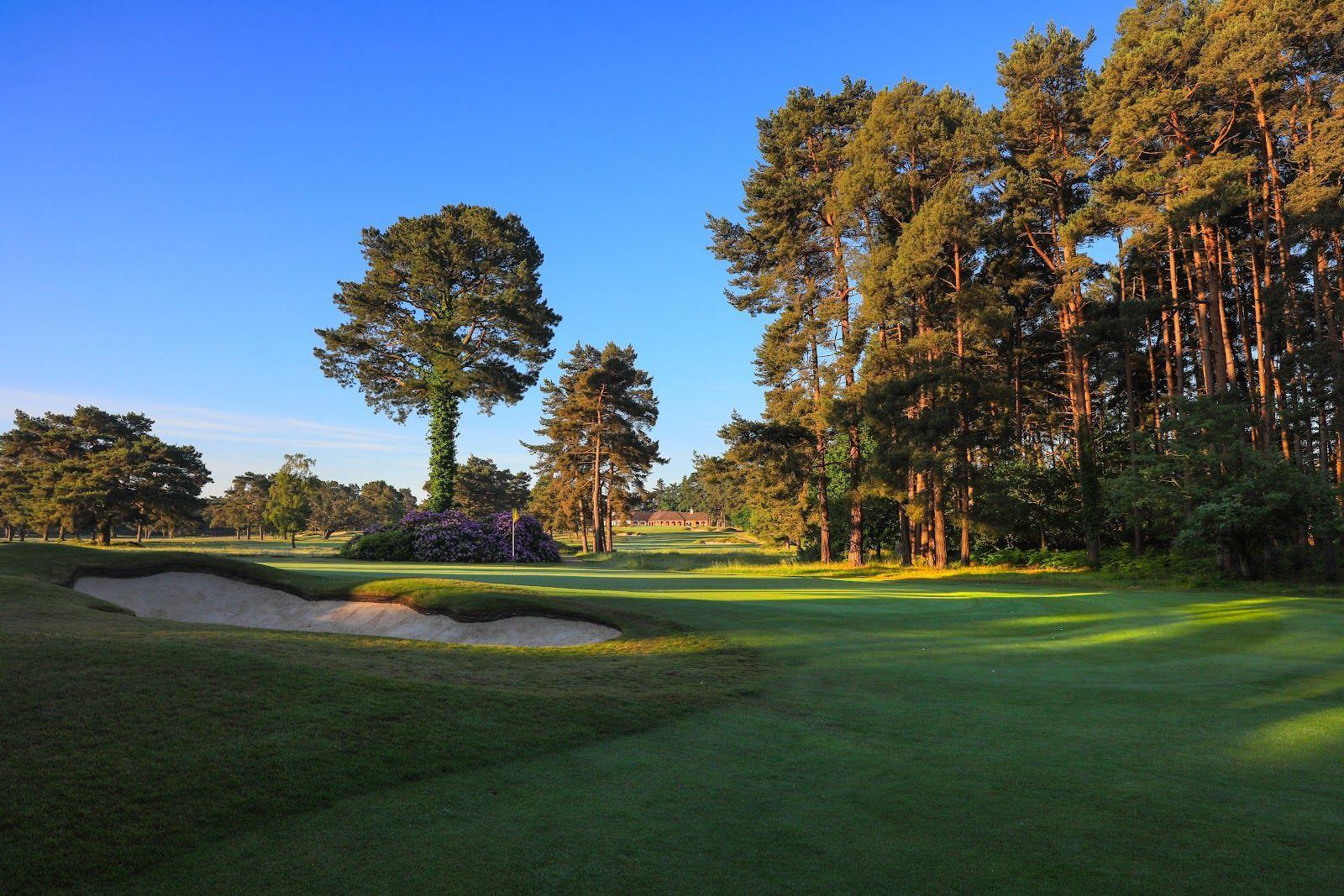 Deep sand bunker placed strategically next to the green surrounded by tall trees