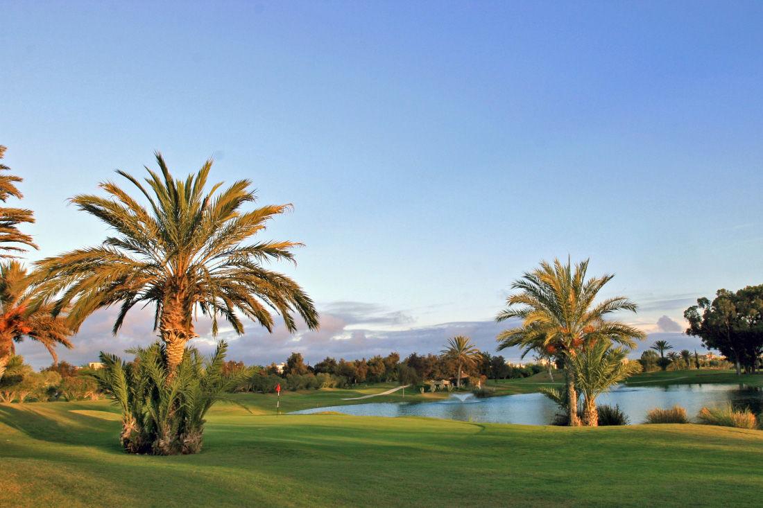 A smooth green with a red flagstick surrounded by palm trees strategically placed next to a water hazard