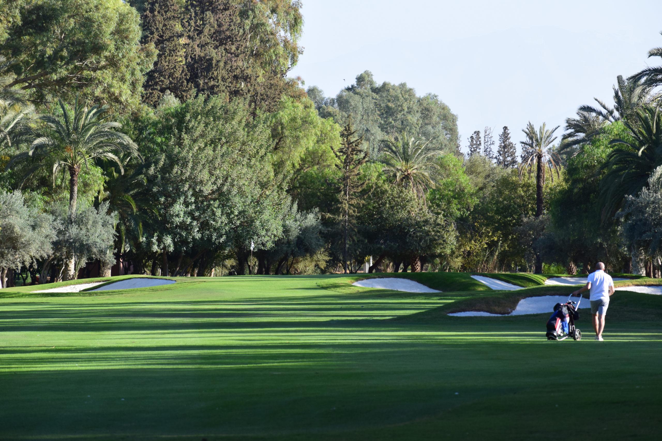 Golfer walking along a fairway lined with palm trees and sand bunkers.