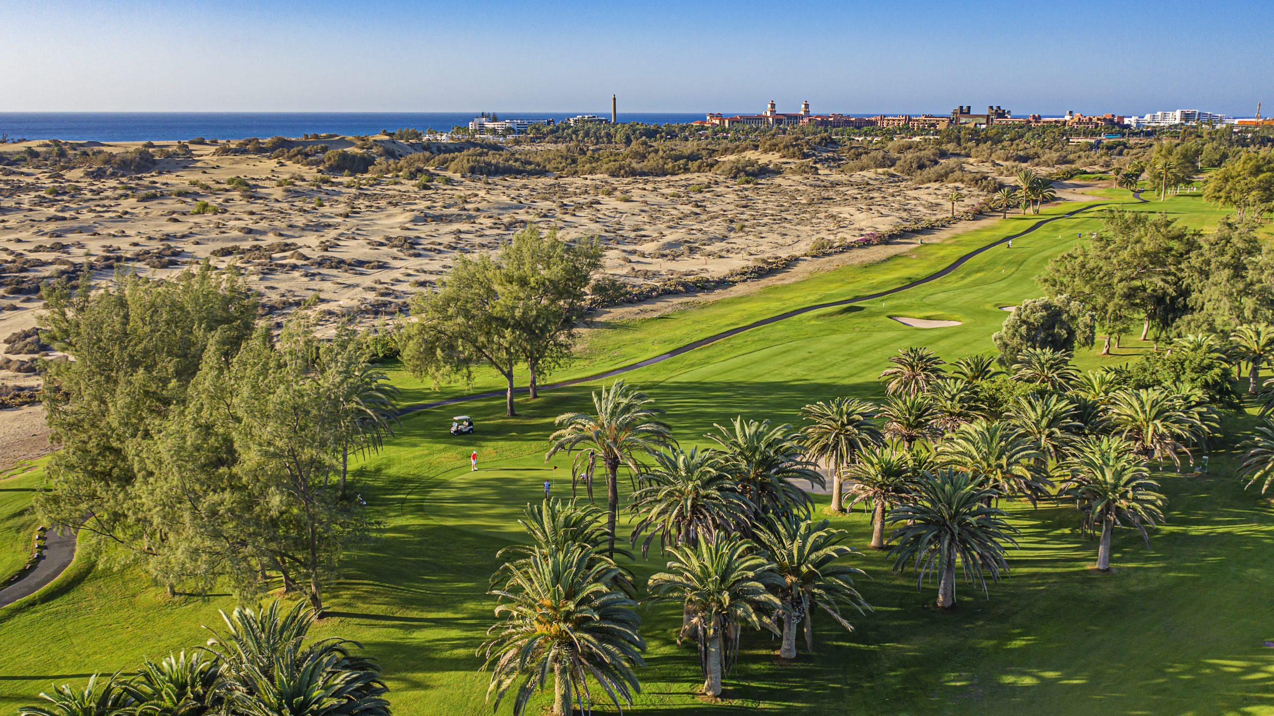 Aerial view of the palm tree-lined fairways with desert conditions outside the course