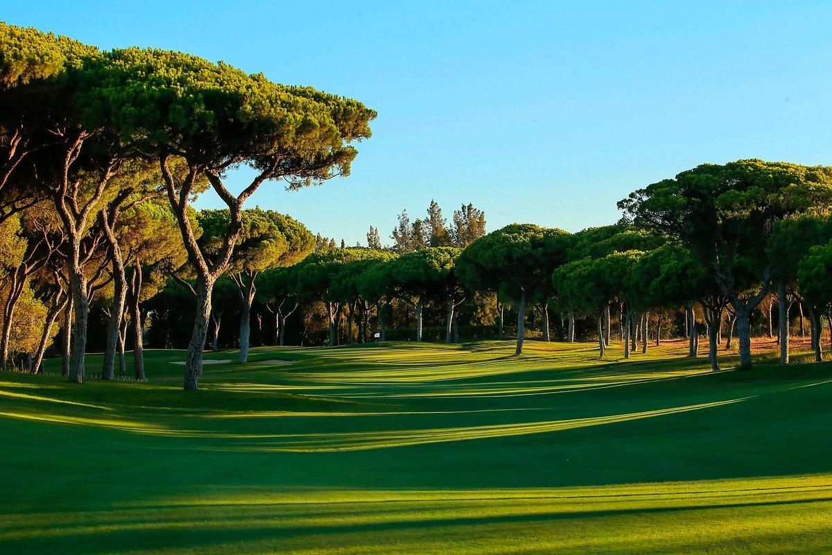 Tree-lined fairway leading up to the green