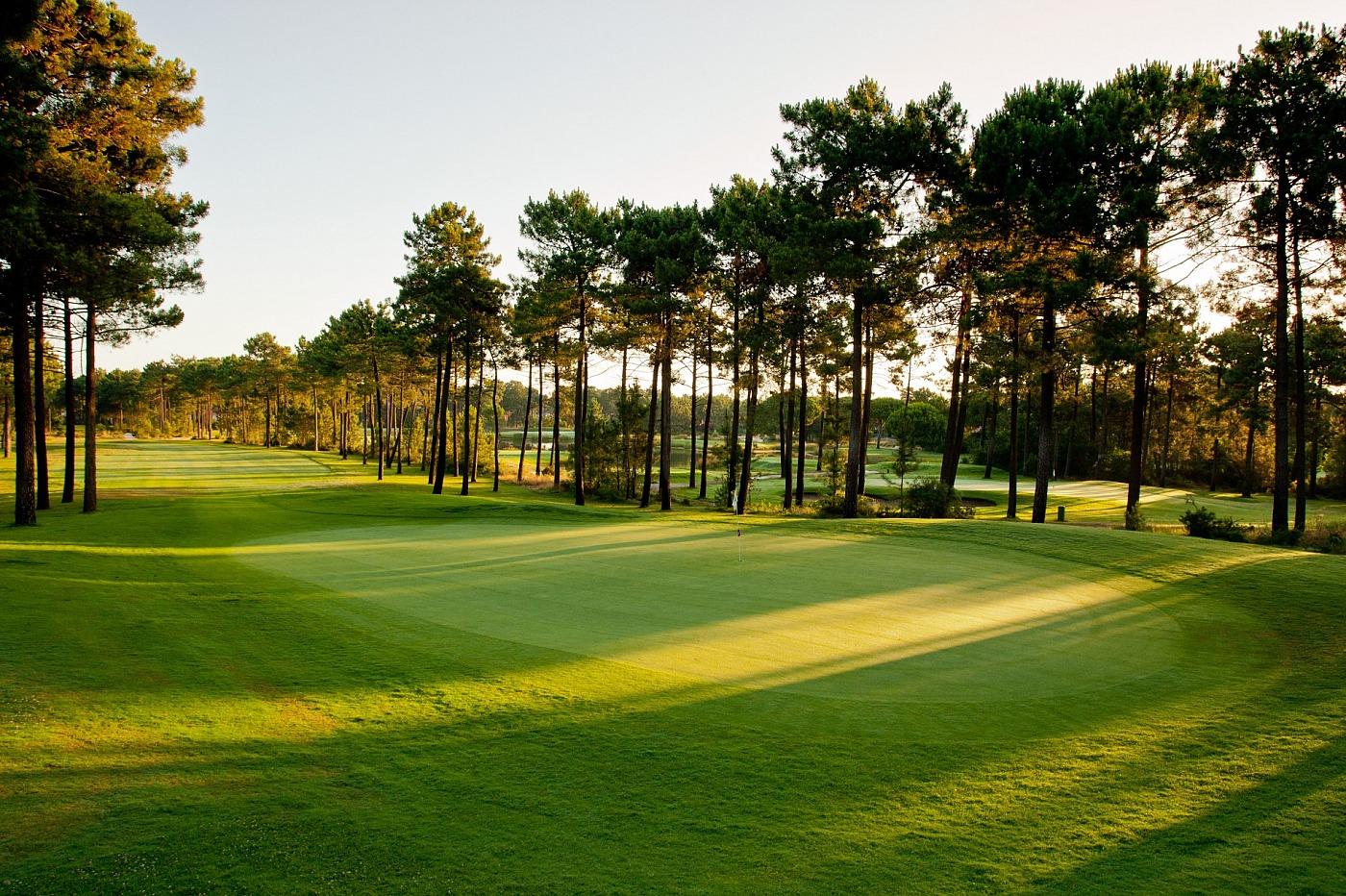 Tree-lined fairway leading to a green