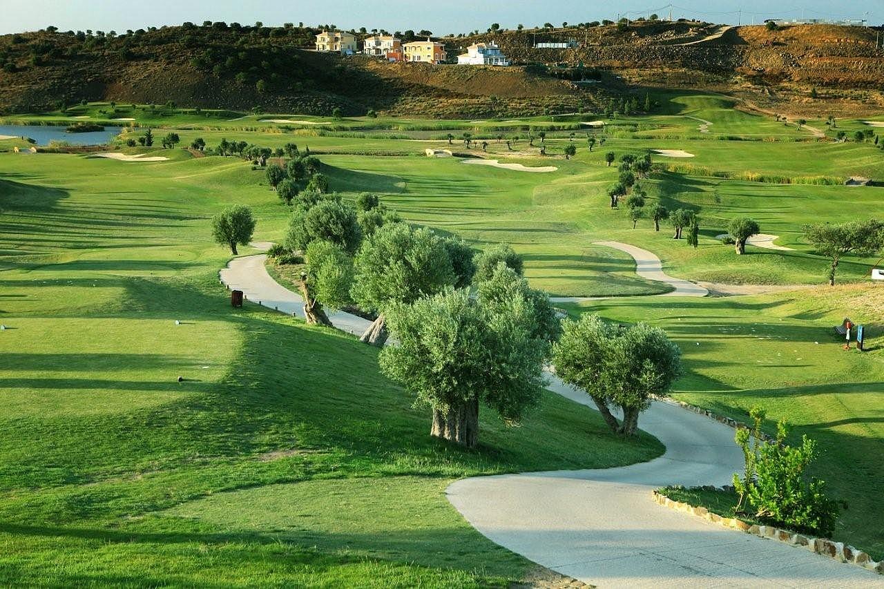 View of undulating greens