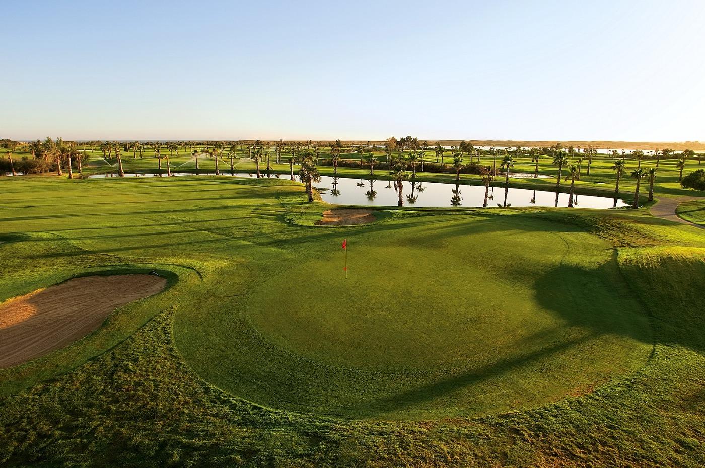 Pirstine green with palm trees behind