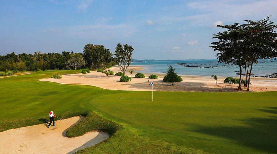 A golfer playing near a seaside green surrounded by sandy beaches.