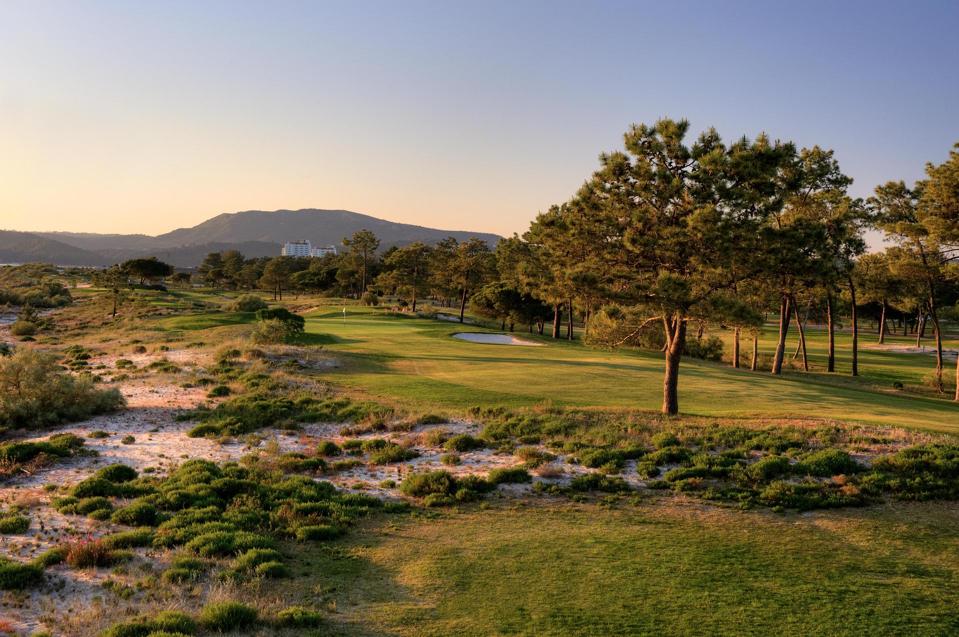 View from the tee box of a shot into a Par 3 green
