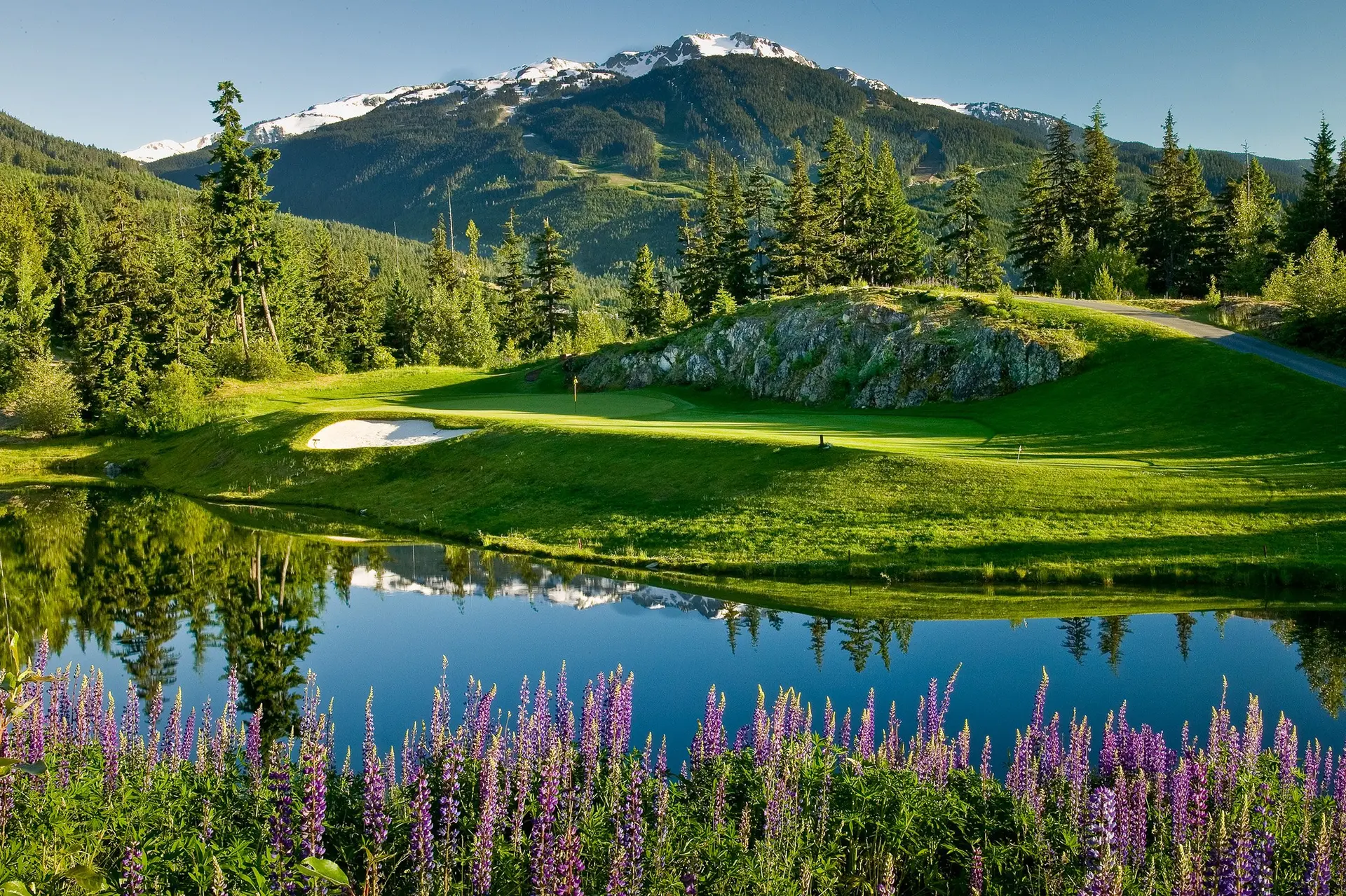 A smooth green surrounded by a sand bunker and water hazard