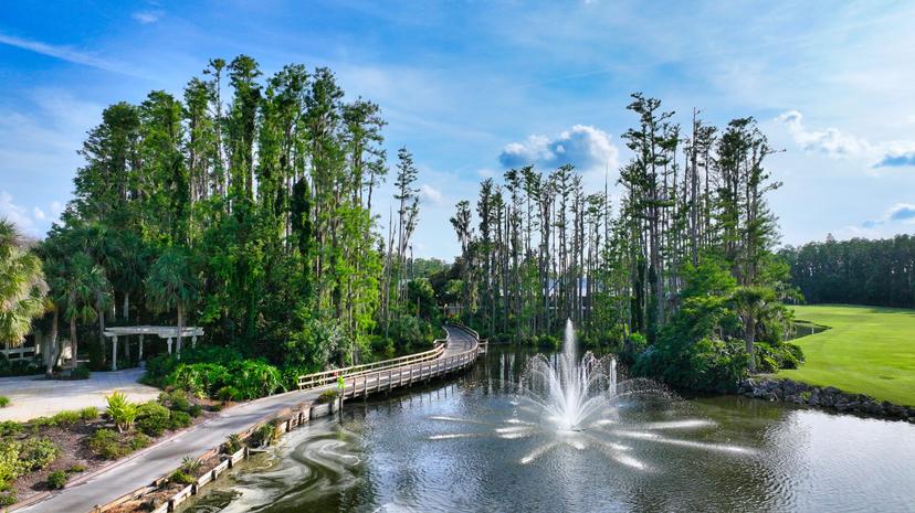 A bridge built into the course to navigate the water hazard surrounded by trees
