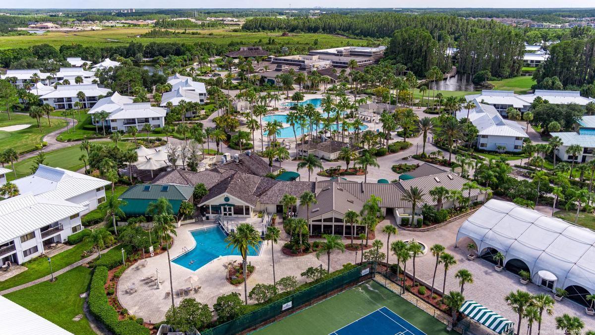 Overhead view of the saddlebrook resort nestled with palm trees and outdoor swimming pools