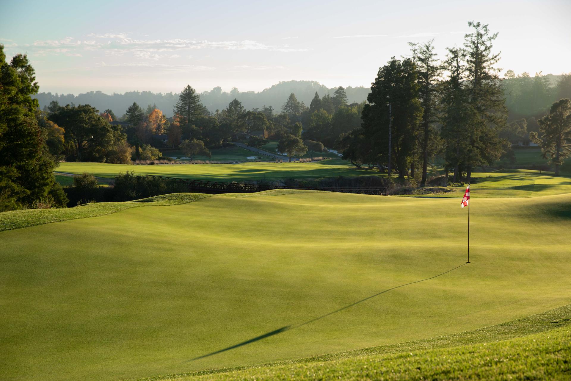 A manicured green with a red flagstick