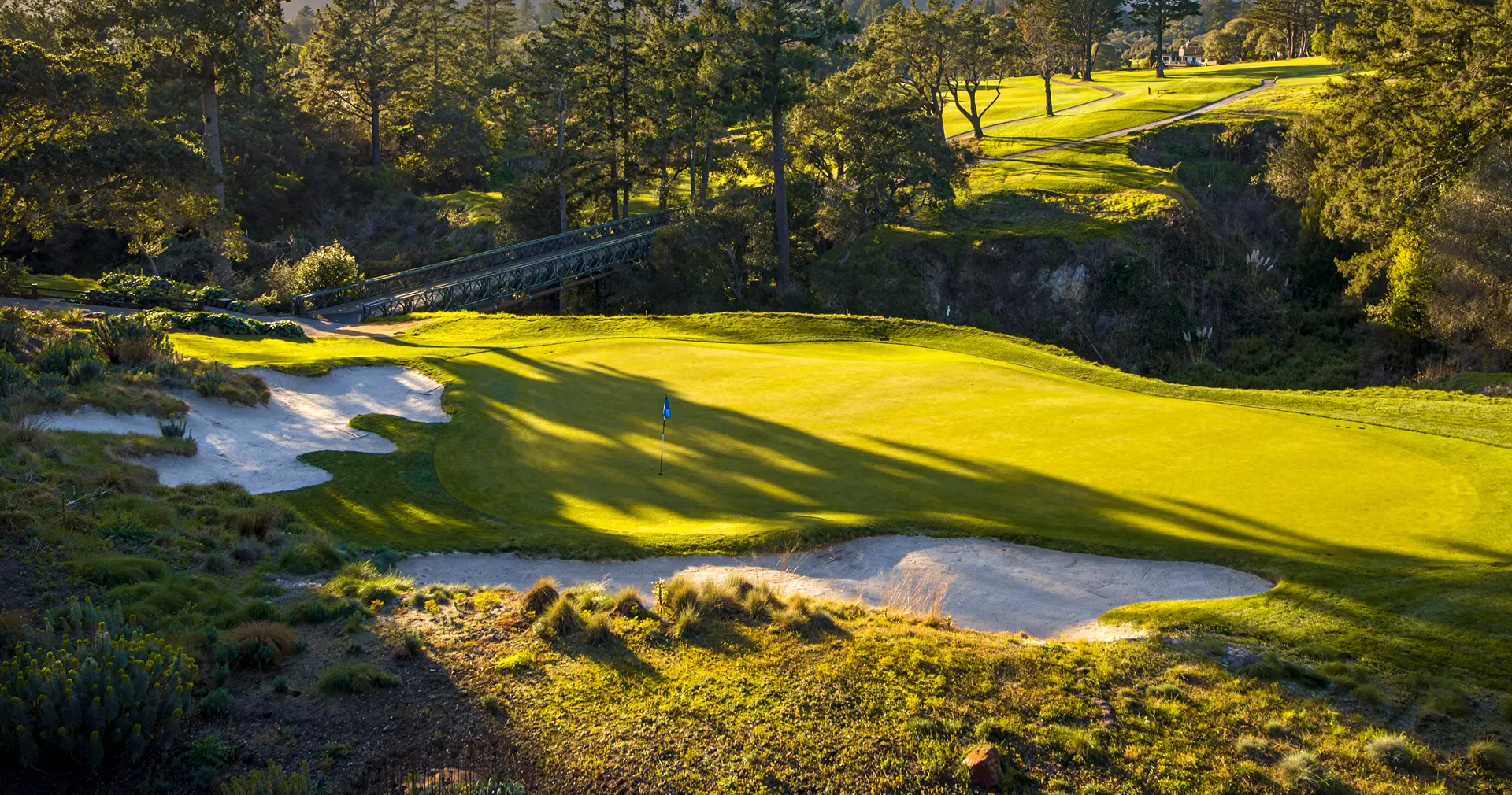 A smooth green surrounded by sand bunkers